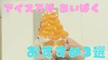暑い日に食べたい!アイスクリーム万博 あいぱく おすすめ商品3選|TBS NEWS DIG