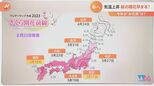3月から“春の暖かさ”に “制限緩和”でお花見はどうなる?【解説】|TBS NEWS DIG