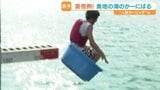 海に落ちたら即失格！伝統の「人間カーリング」 お盆の風物詩・奥地の海のかーにばるが大盛況 愛媛|TBS NEWS DIG