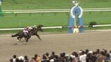 岩手競馬の交流重賞クラスターカップ 中央競馬のドンフランキーが優勝 2着はクロジシジョー 地方勢ではスペシャルエックス(北海道)の5着が最高|TBS NEWS DIG