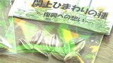東日本大震災から14年へ「ヒマワリで広がる輪」石川の中学生が復興を願い、種を配布|TBS NEWS DIG