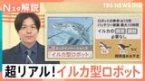 水族館のイルカがロボットに?サーカスのライオンやゾウも…動物愛護で変わる伝統【Nスタ解説】|TBS NEWS DIG