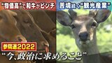 『物価高で大打撃の和牛生産農家』『コロナで苦境続く観光地』今の政治に何を求める?候補者は何を訴える?【参院選・滋賀選挙区/奈良選挙区】|TBS NEWS DIG