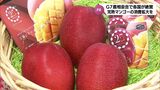 G7農相会合で各国閣僚らも絶賛「みやざき完熟マンゴー」 宮崎県内の生産者がさらなる消費拡大をPR|TBS NEWS DIG