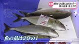 相次ぐ台風接近で出漁できず 競りも10分で終了 宮崎県内でも鮮魚の価格が上昇 | MRTニュース | MRT宮崎放送
