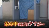 「ギャーって叫び声が…」家の中までクマに追いかけられ…女性2人けが 玄関ガラス戸も破られて|TBS NEWS DIG