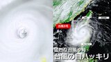 “猛烈な”台風9号 吸い込まれそうな「台風の目」クッキリ 発生から現在までの変化を動画で|TBS NEWS DIG