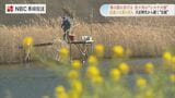 春の訪れ 佐々川のシロウオ漁【長崎県佐々町】|TBS NEWS DIG