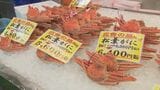 「過去5年にないくらい非常に値段が安かった」冬の味覚の王様「松葉がに」漁解禁…水揚げ好調　去年より３割ほど安く|TBS NEWS DIG