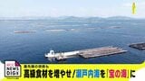 1キロあたり1万8000円のカニに「幻の魚」も！ 高級食材が豊富な瀬戸内海は「宝の海」 広島漁業の最前線に迫る　|　RCC NEWS | 広島ニュース | RCC中国放送
