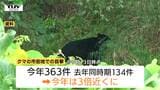 県内今年のクマの目撃件数は約900件 全体では減少も、市街地での目撃は去年の3倍に…(山形) | 山形のニュース│TUYテレビユー山形