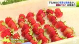 赤く色付いた「夏秋いちご」収穫　冷涼な気候生かして栽培盛ん　青森県むつ市|TBS NEWS DIG