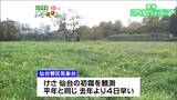 仙台で初霜観測「午後を中心に晴れ、寒気の影響で西部は夕方までにわか雨も」宮城の30秒天気 tbc気象台 14日|TBS NEWS DIG