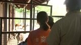 「獣医師になって苦しんでいる動物助けたい」 動物園で夏休み中の小中学生が飼育員のお仕事体験 普段は入れない場所から近距離で触れ合い 盛岡市|TBS NEWS DIG