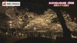 昼と夜とで違う表情を見せる『日本さくら名所100選』大村公園【長崎サクラ点描】 | 長崎のニュース | 天気 | NBC長崎放送