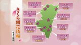 宮崎県内の桜の名所「開花情報」 見ごろを迎えているのは?(3/29現在) | MRTニュース | MRT宮崎放送