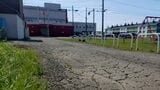路上で猫の頭部とみられる死骸が見つかる　故意に切断か…警察が動物愛護法違反の疑いもあるとみて捜査　北海道岩見沢市|TBS NEWS DIG