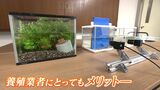 「日本の魚養殖を変える!」ベンチャー企業が装置を開発 水中に泳ぐ魚を触ることなく大きさを計測【岡山】|TBS NEWS DIG