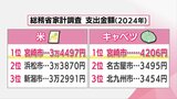 今年は「米」と「キャベツ」 宮崎市が支出金額全国1位 要因は? | MRTニュース | MRT宮崎放送