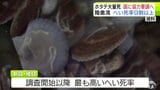 「最悪の状況であり、最大の危機を迎えている」青森県の『陸奥湾ホタテ』の大量死　新貝のへい死率は9割以上・稚貝は約8割で過去最悪に　青森県・宮下宗一郎 知事は国に対策への協力求める方針　|　青森のニュース│ATV NEWS│青森テレビ