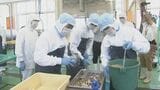 短大と高校が「魚醤」開発スタート マダイ、トビウオ、イカの3種類で仕込み 大分|TBS NEWS DIG