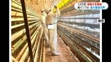 12万羽の殺処分開始　高病原性鳥インフルエンザの疑い高い疑似患畜　今季初・県内5季連続　出水市の養鶏場・鹿児島|TBS NEWS DIG