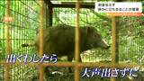 もし“イノシシに遭遇”したらどうする 効果的なのが「かばんなど気を引くものを置いてそっと立ち去る」|TBS NEWS DIG