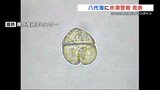 八代海全域に赤潮警報を発表 原因プランクトン「カレニアミキモトイ」が基準値の約5倍 2022年には19億円の漁業被害 熊本 | 熊本のニュース|RKK NEWS|RKK熊本放送