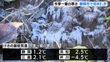 「5枚くらい着てるかも…まだ寒い」各地で今シーズン一番の冷え込み　静岡市では「初氷」観測　|　静岡のニュース | SBSNEWS | 静岡放送