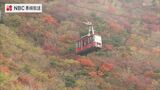雲仙・仁田峠の紅葉が見ごろ　例年より2週間遅れの色づき　|　長崎のニュース | 天気 | NBC長崎放送