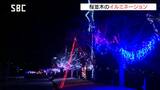 200本の八重桜が並ぶ「天龍峡八重桜街道」でイルミネーション 住民が桜の木に装飾 長野・飯田|TBS NEWS DIG