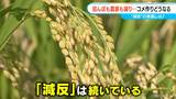 コメ作りどうなる 田んぼも担い手も減り続ける現実 “減反”の見直しは? 【チャント!大石が聞く】 | 名古屋・愛知・岐阜・三重のニュース【CBC news】 | CBC web