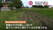 畑で作業中に熱中症か　倒れている88歳男性を発見 搬送先の病院で死亡確認　富山　|　富山のニュース｜天気・防災｜チューリップテレビ
