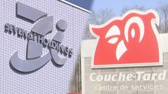 セブン＆アイ 買収提案受けるカナダ・コンビニ大手が「敵対的買収」禁止条項を拒否| TBS CROSS DIG with Bloomberg