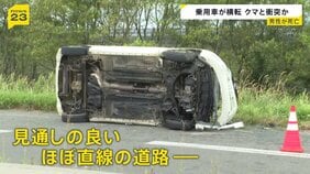 クマと衝突か 北海道・根室市の国道で横転している車が見つかる 運転手の男性死亡|TBS NEWS DIG