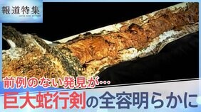 「長いだけじゃなかった…」巨大蛇行剣の全容が明らかに、刀剣の歴史に迫る新発見が続々と【報道特集】|TBS NEWS DIG