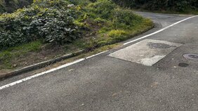 カラスやヒヨドリの駆除目的で放たれた散弾銃1発　男性2人に当たりけが　熊本・天草市|TBS NEWS DIG