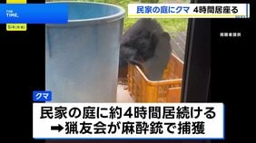 クマが民家の庭に4時間、猟友会が麻酔銃を使って捕獲　長野・安曇野市 |TBS NEWS DIG
