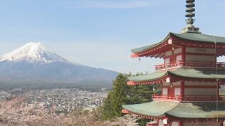 「裏口から入ってトイレを使用してしまう」　富士山と桜と五重塔の桜まつり　オーバーツーリズムで住民生活に支障　開催見送り　山梨　|　山梨のニュース | ＵＴＹテレビ山梨