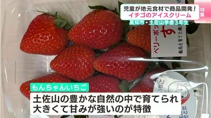 冬が旬の“もんちゃんいちご”を一年中味わって欲しい！」児童が地元食材