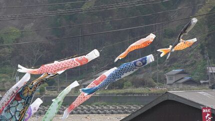 大谷鯉のぼりミニフェスティバル 石川・珠洲の空を約200匹の