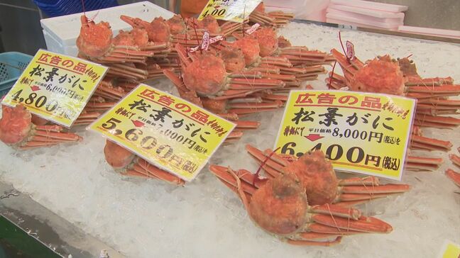 「過去5年にないくらい非常に値段が安かった」冬の味覚の王様「松葉がに」漁解禁…水揚げ好調　去年より３割ほど安く|TBS NEWS DIG