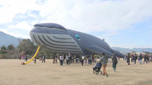 「大きかった」「楽しかった」伝統の「たこあげ大会」 全長32メートルの「クジラカイト」も 福岡県久留米市|TBS NEWS DIG