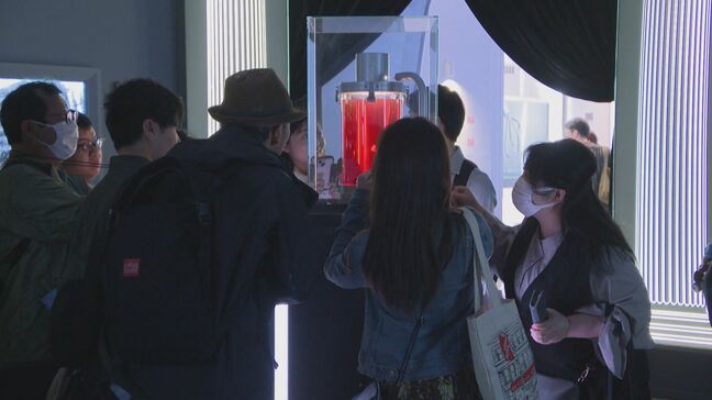 大阪・関西万博なぜ盛況? iPS心臓、25年後の自分…国内パビリオンの魅力を取材|TBS NEWS DIG