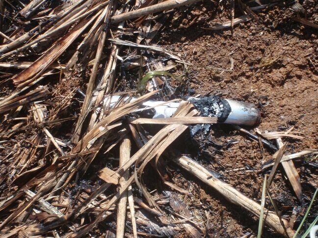 飛来物が原因か　久米島の畑で火事　目撃者「アルミ缶のようなものが飛んできた」|TBS NEWS DIG