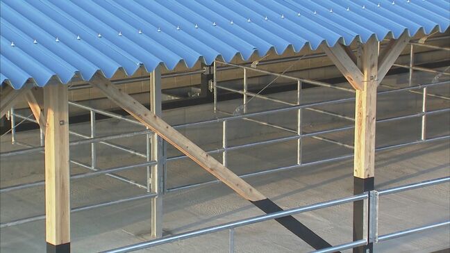 「阿蘇市の賠償金は、元市長に請求すべき」住民訴訟の高裁判決　元市長が最高裁に上告|TBS NEWS DIG