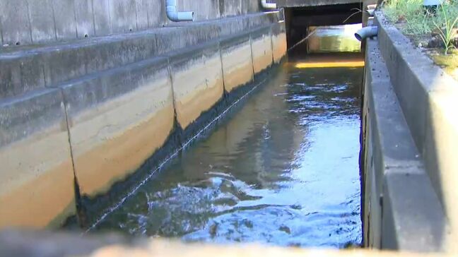 温泉排水路に転落 6月に男性(36)が全身やけどで死亡…市道脇で約60度 指宿市「他にも複数か所」|TBS NEWS DIG