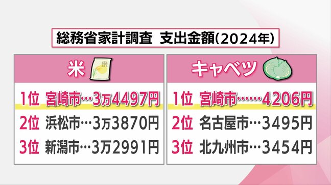 今年は「米」と「キャベツ」 宮崎市が支出金額全国1位 要因は?|TBS NEWS DIG