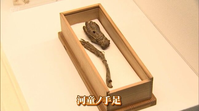 "河童ノ手足"など妖怪や怪奇現象の資料を展示　特別展「怪異の受容と南九州」　都城島津伝承館で24日まで|TBS NEWS DIG