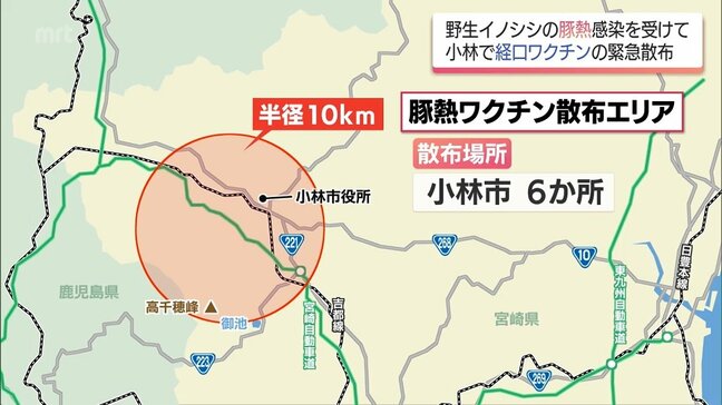 野生イノシシの「豚熱」感染確認 小林市で経口ワクチンを散布|TBS NEWS DIG